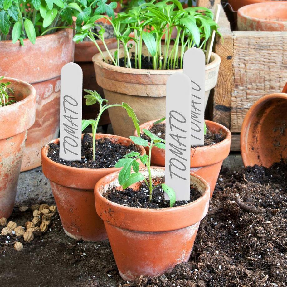 B2X  Pflanzenschilder im 500er-Set 