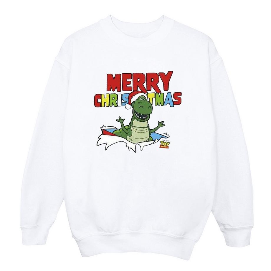 Disney Toy Story Merry Christmas Rex Sweatshirt  