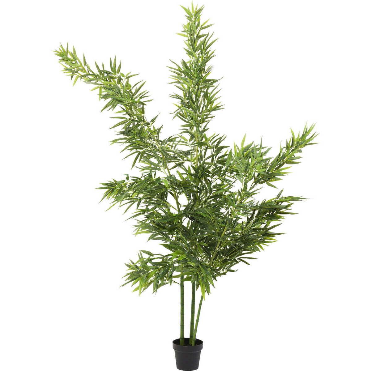 KARE Design Plante décorative Bamboo Tree 200cm  