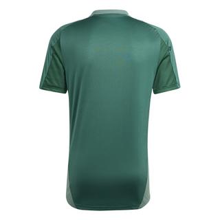 adidas  maillot d'entrainement algérie 2024/25 