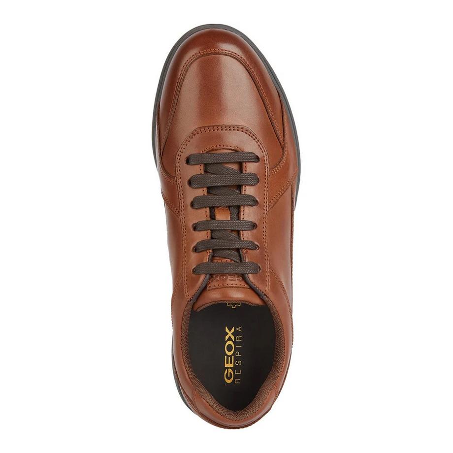 GEOX Chaussures U Spherica EC12 en Cuir  