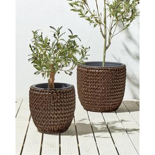 Beliani Lot de 3 pots de fleurs en Polyrotin Rustique BERBERIS  