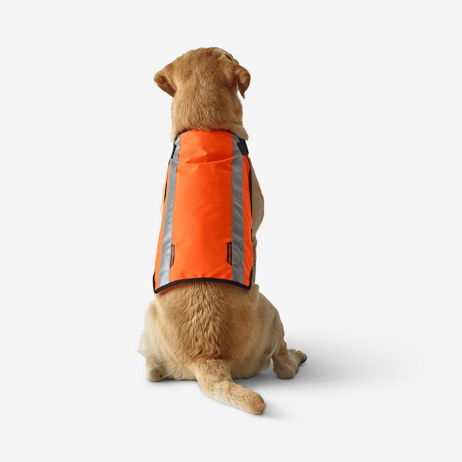 SOLOGNAC  Schutzweste Hund Polyester 