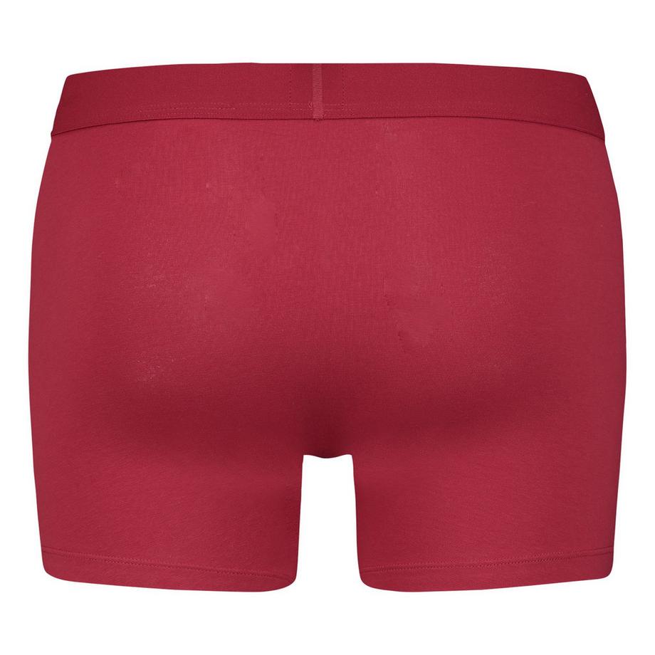 Levis Stretch Men Solid Basic Boxer & Vintage Stripe 4er Pack  