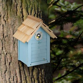 B2X Cassetta degli attrezzi per le tette  