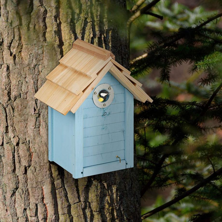 B2X Cassetta degli attrezzi per le tette  