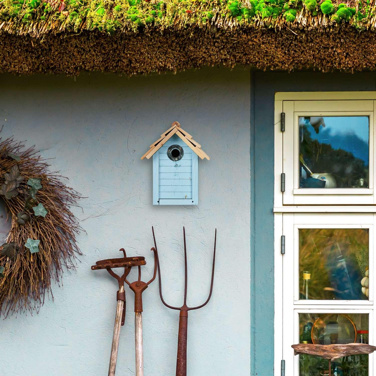 B2X Cassetta degli attrezzi per le tette  