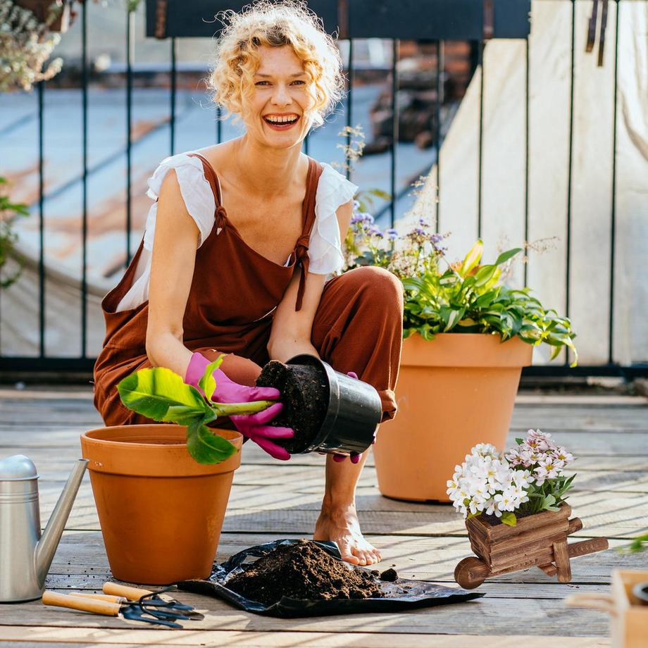 B2X Brouette en bois pour plantes - lot de 2  