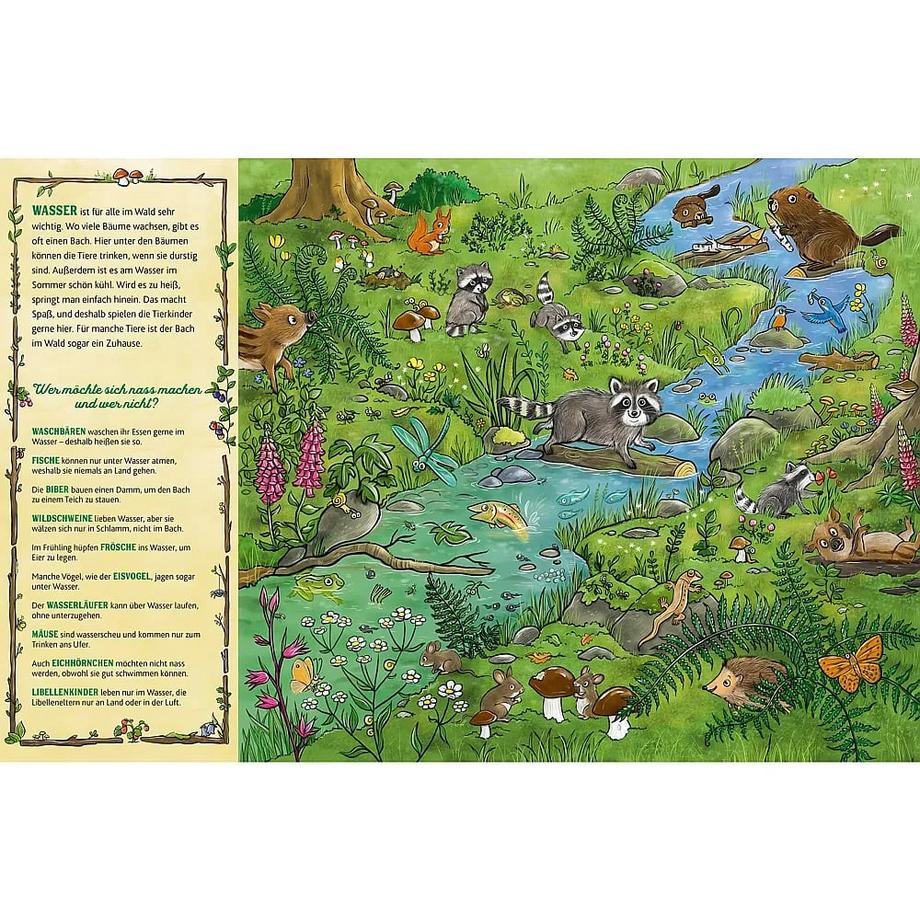 Das große Wald-Wimmelbuch Wohlleben, Peter; Kohne, Diana (Illustrationen) Gebundene Ausgabe 