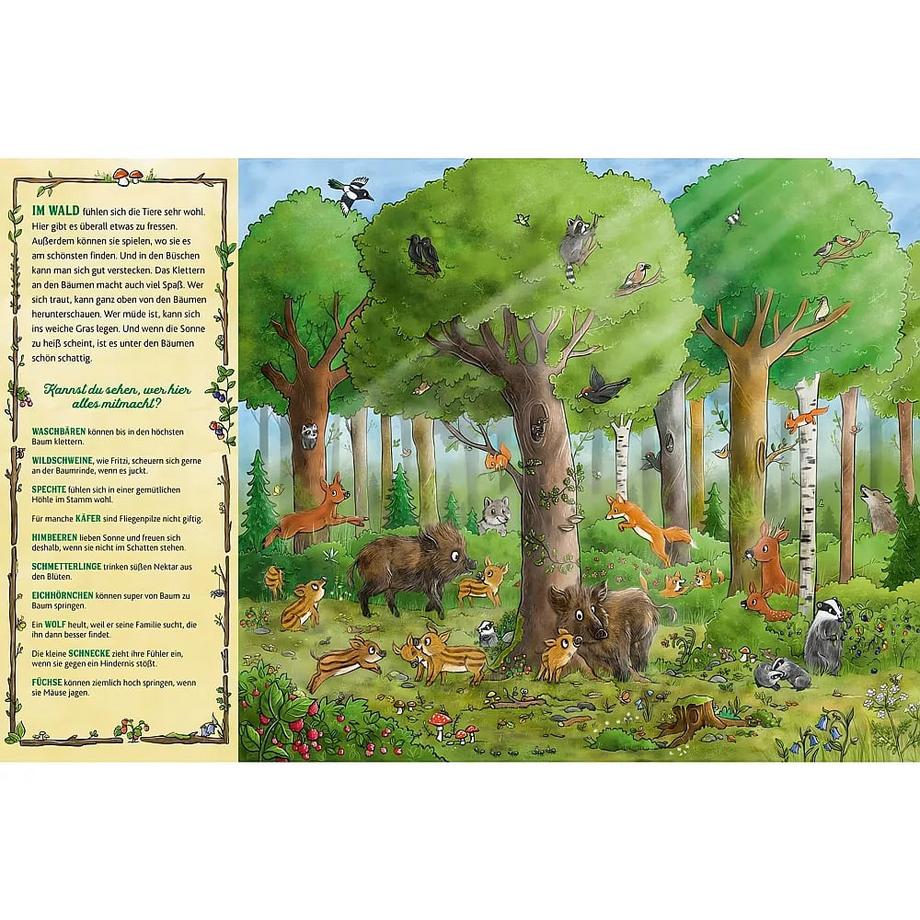 Das große Wald-Wimmelbuch Wohlleben, Peter; Kohne, Diana (Illustrationen) Gebundene Ausgabe 