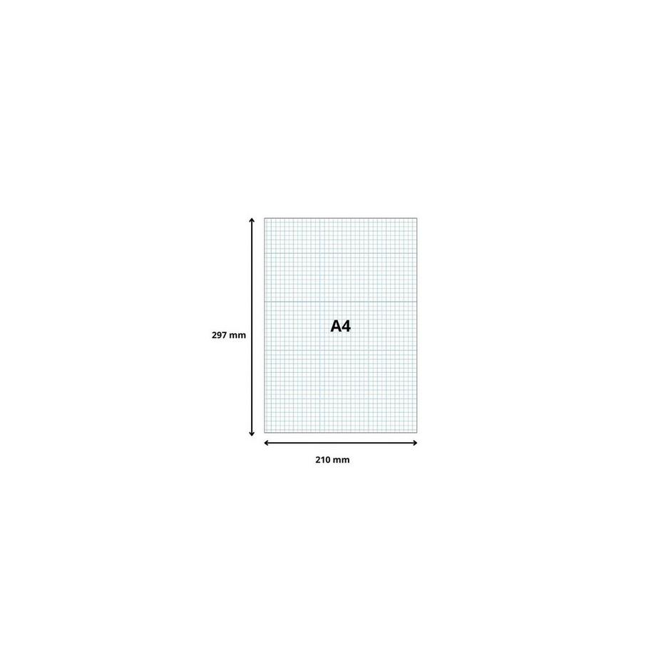 Exacompta Étui de 100 fiches - bristol quadrillé 5x5 non perforé 210x297mm  