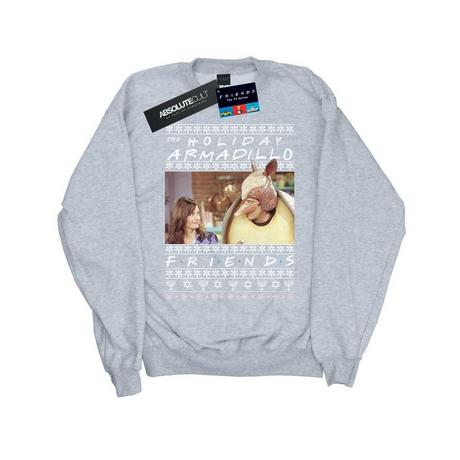 Friends  Holiday Armadillo Sweatshirt 