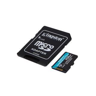 Kingston  Kingston Technology Scheda microSDXC Canvas Go Plus 170R A2 U3 V30 da 256GB + adattatore 