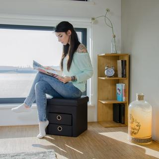 B2X Tabouret en simili cuir à 2 compartiments  