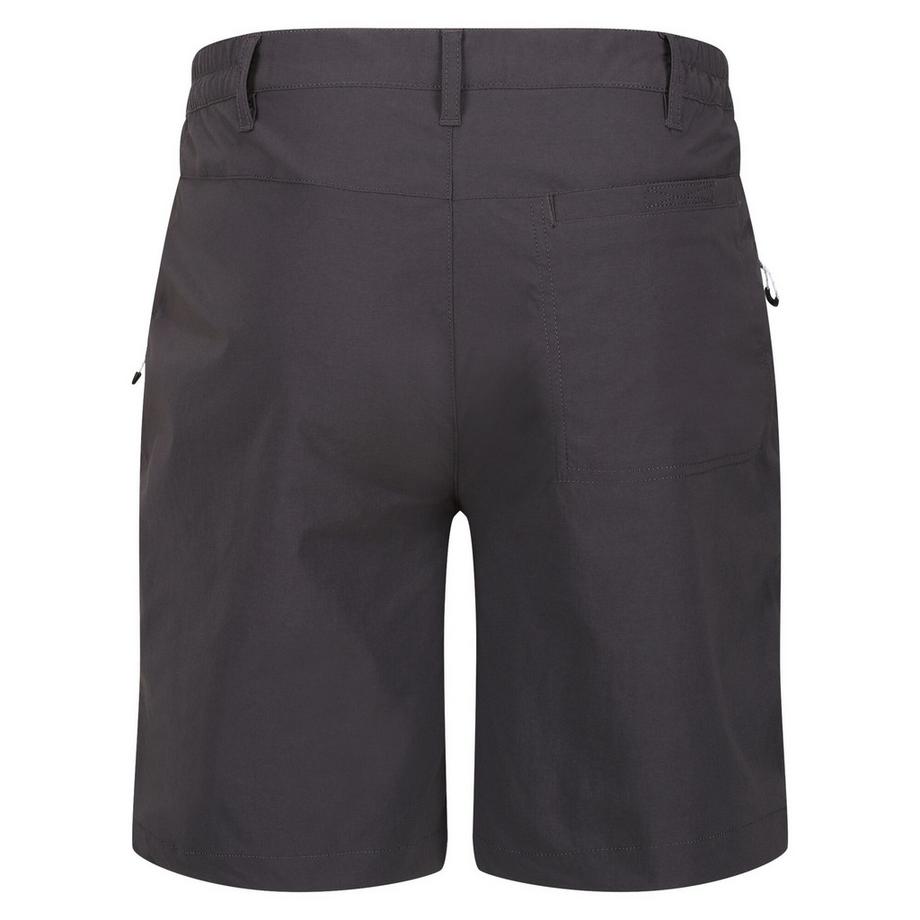 Regatta  Short de marche HIGHTON 