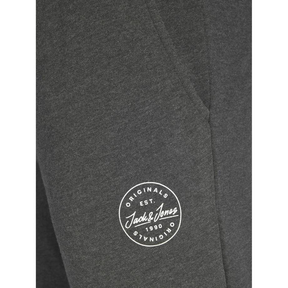 JACK & JONES Pantaloni da jogging Gordon Shark  