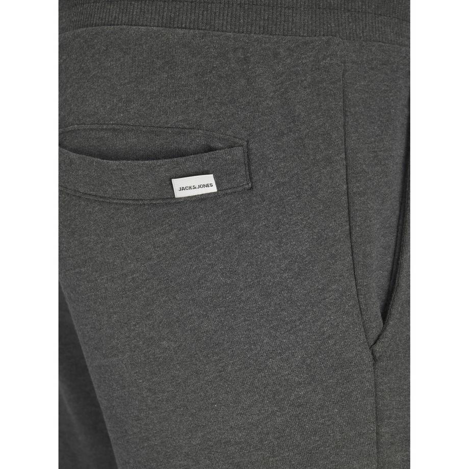 JACK & JONES Pantaloni da jogging Gordon Shark  