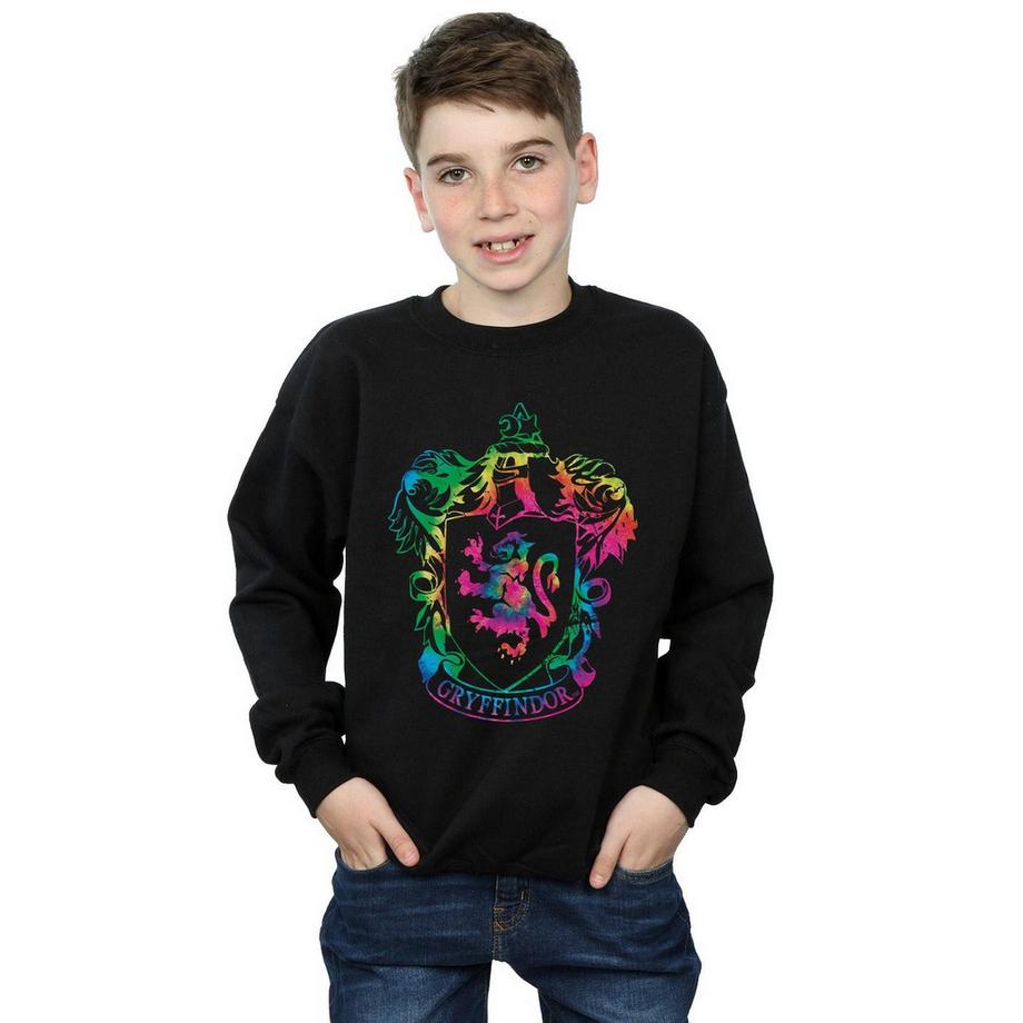 Harry Potter  Sweat GRYFFINDOR 