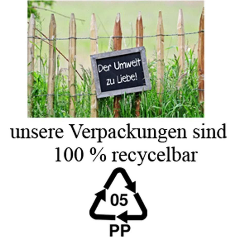 SELLMER SELLMER Adventskalender A4 813 800  