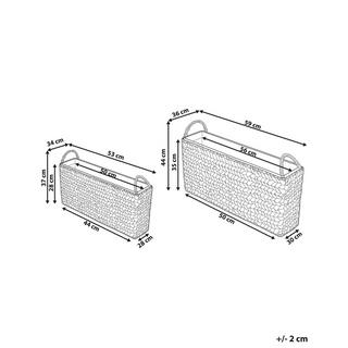 Beliani Lot de 2 pots de fleurs en Polyrotin Rustique ORMOS  