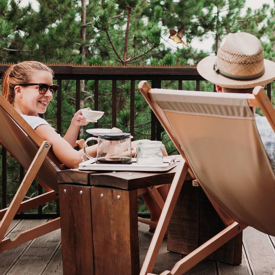 B2X Chiodi repellenti per uccelli per recinzioni  