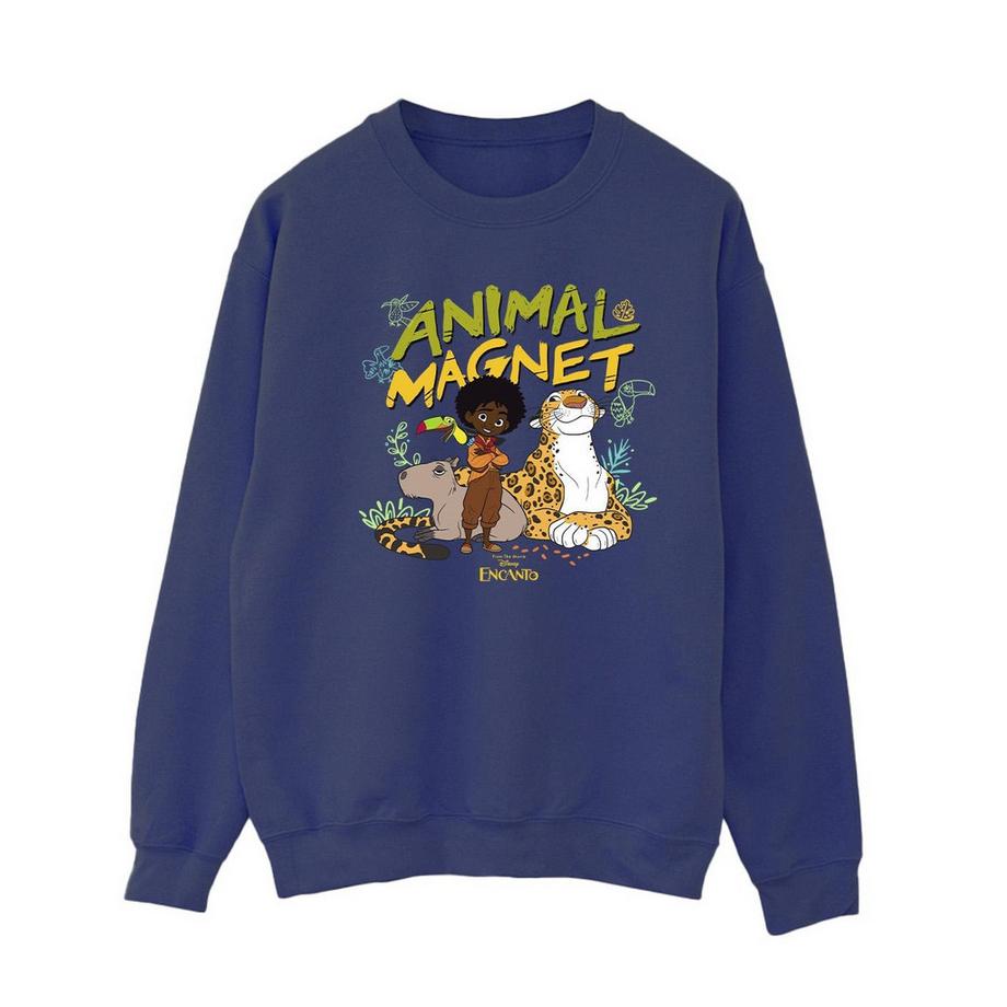 Disney Encanto Animal Magnet Felpa  