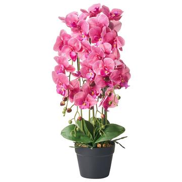 Plante artificielle en Matière synthétique Rétro ORCHID
