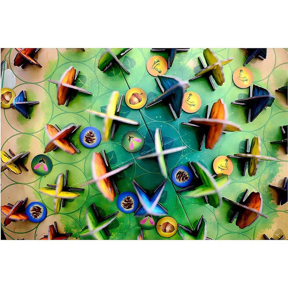 Blue Orange  Photosynthesis 