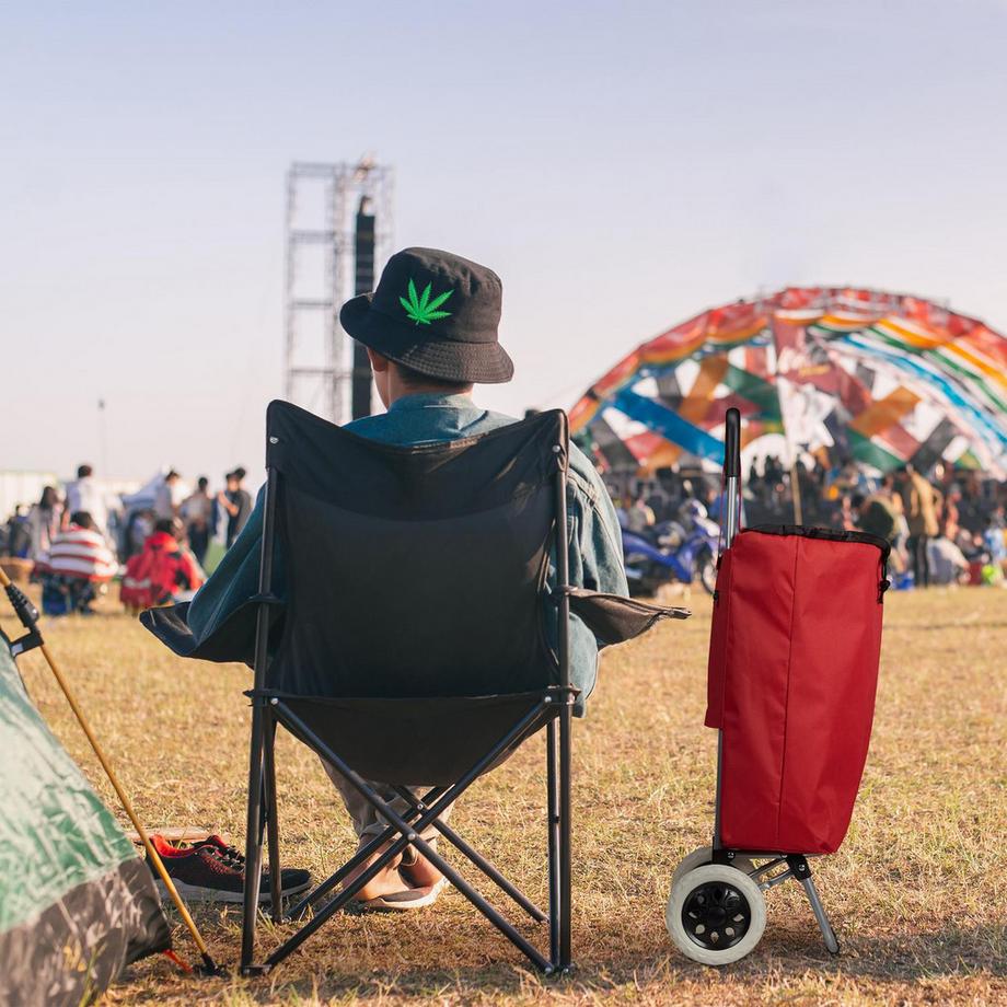 B2X  Carrello della spesa pieghevole 