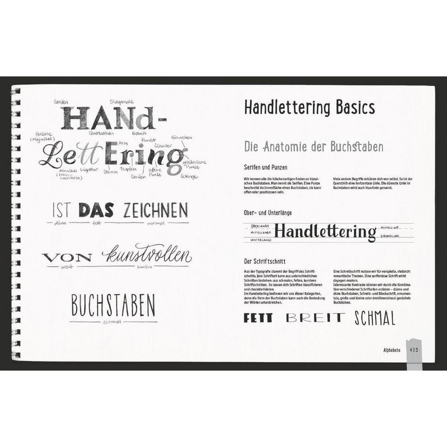 Frech  Handlettering All you need. Die schönsten Alphabete und Schmuckelemente 