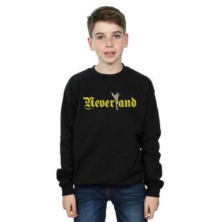 Disney  Neverland Sweatshirt 