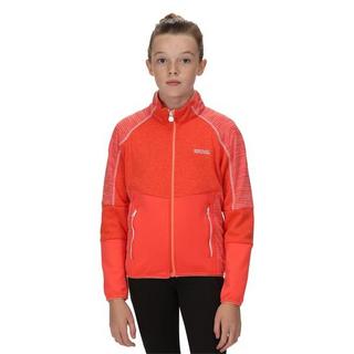 Regatta  Oberon V Softshelljacke 