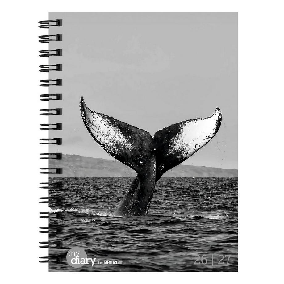 Biella Agenda scolaire mydiary Wire-O 3½ jours par page, Whale  