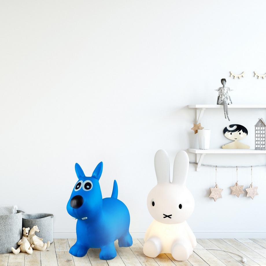 B2X  Chien animal rebondissant 