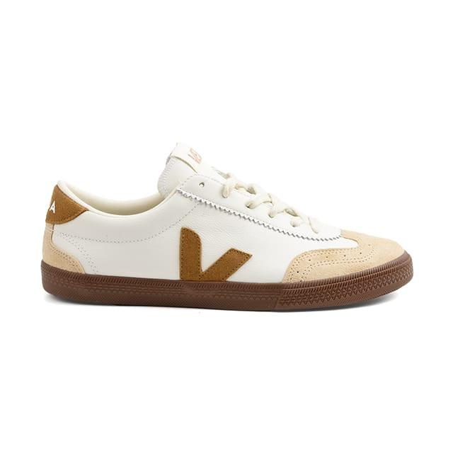 Veja  VOLLEY-41 