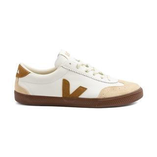 Veja  VOLLEY-41 