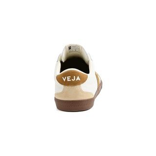Veja  VOLLEY-41 