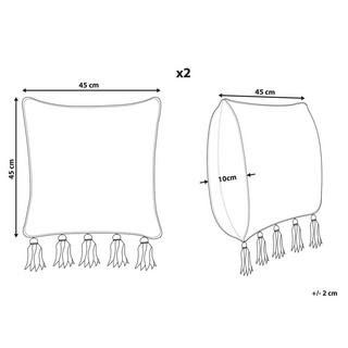 Beliani Lot de 2 coussins en Coton Traditionnel SAMBUCUS  