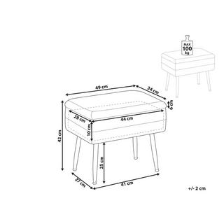 Beliani Banc de rangement en Velours Moderne ODESSA  