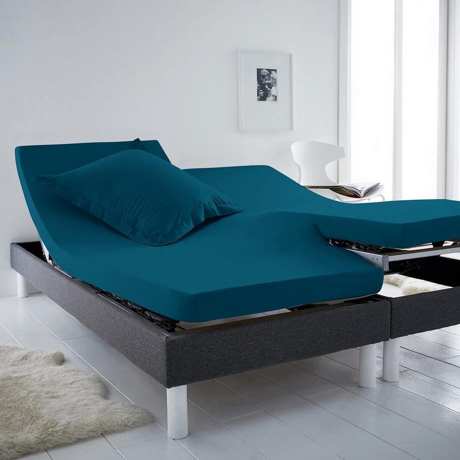 La Redoute Intérieurs Scenario Lenzuolo con angoli in jersey per letti matrimoniali regolabili  