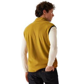 Regatta Frankie Fleece Weste  