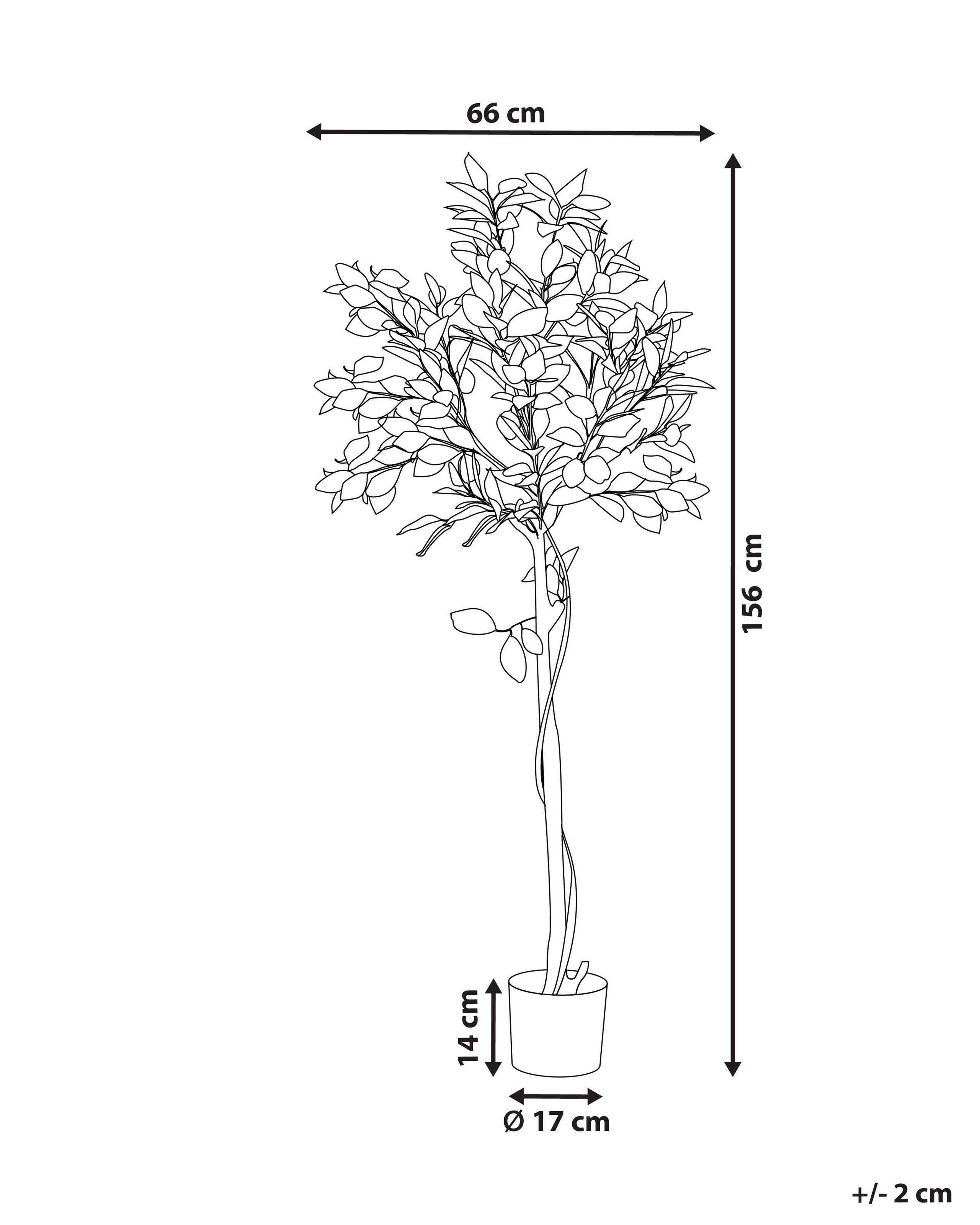 Beliani Pianta artificiale en Materiale sintetico LEMON TREE  