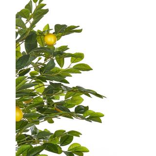 Beliani Kunstpflanze aus Kunststoff LEMON TREE  