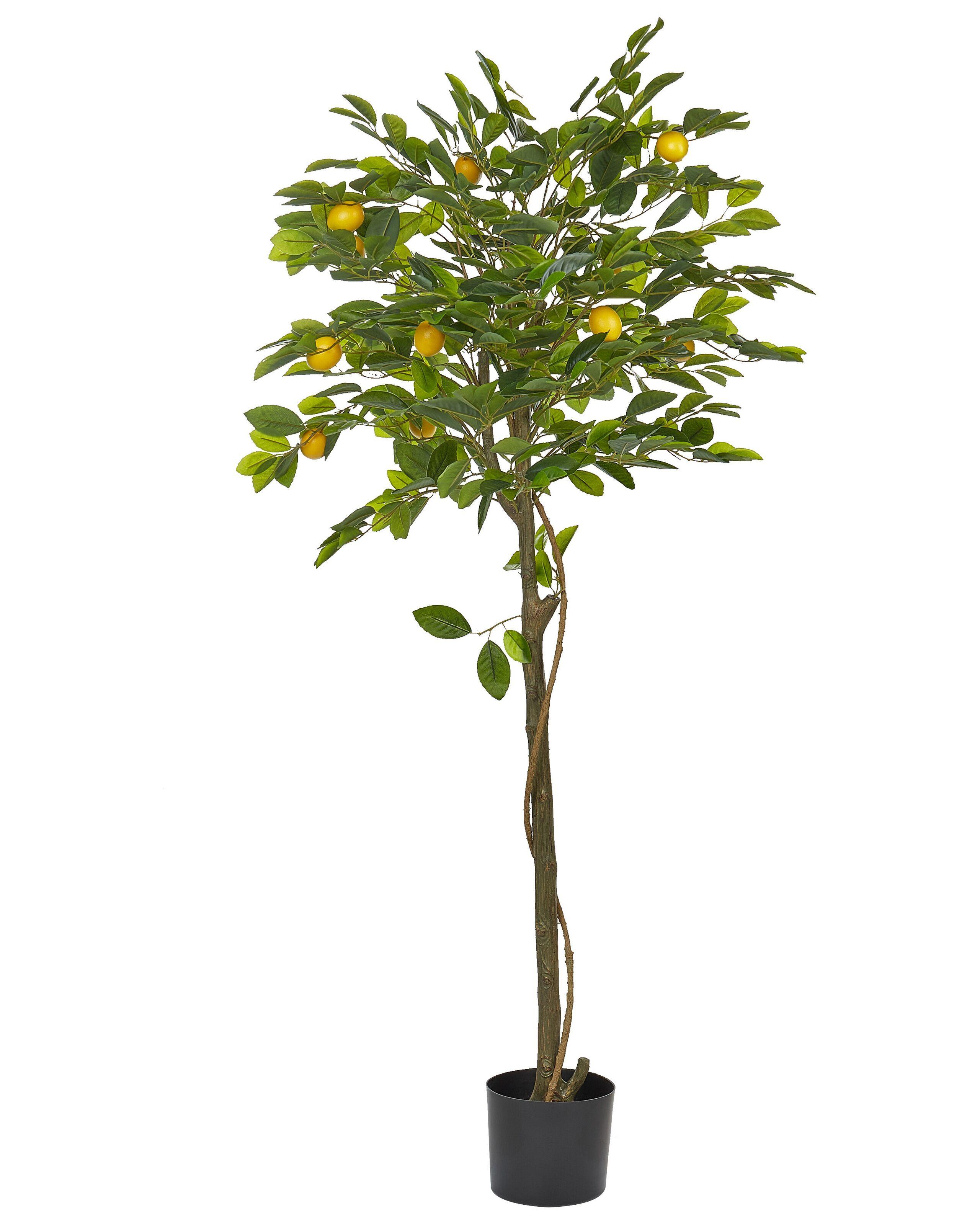 Beliani Kunstpflanze aus Kunststoff LEMON TREE  