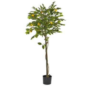 Plante artificielle en Matière synthétique LEMON TREE