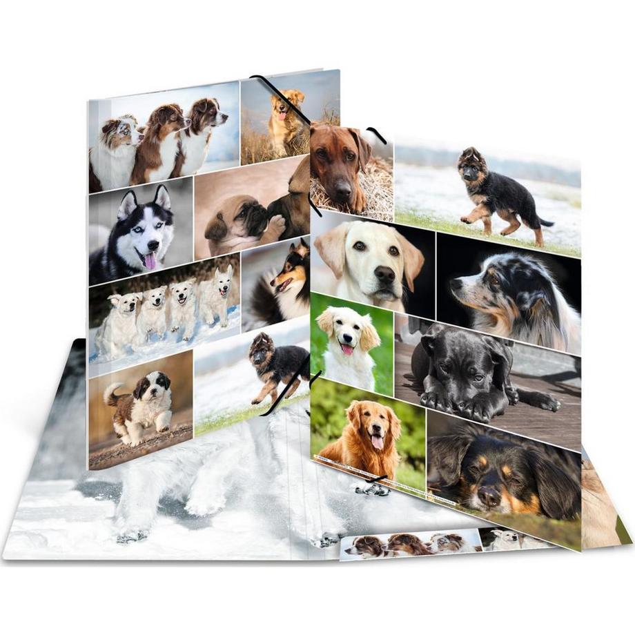 HERMA Gummibandmappe Hunde, Karton, mit Innendruck  