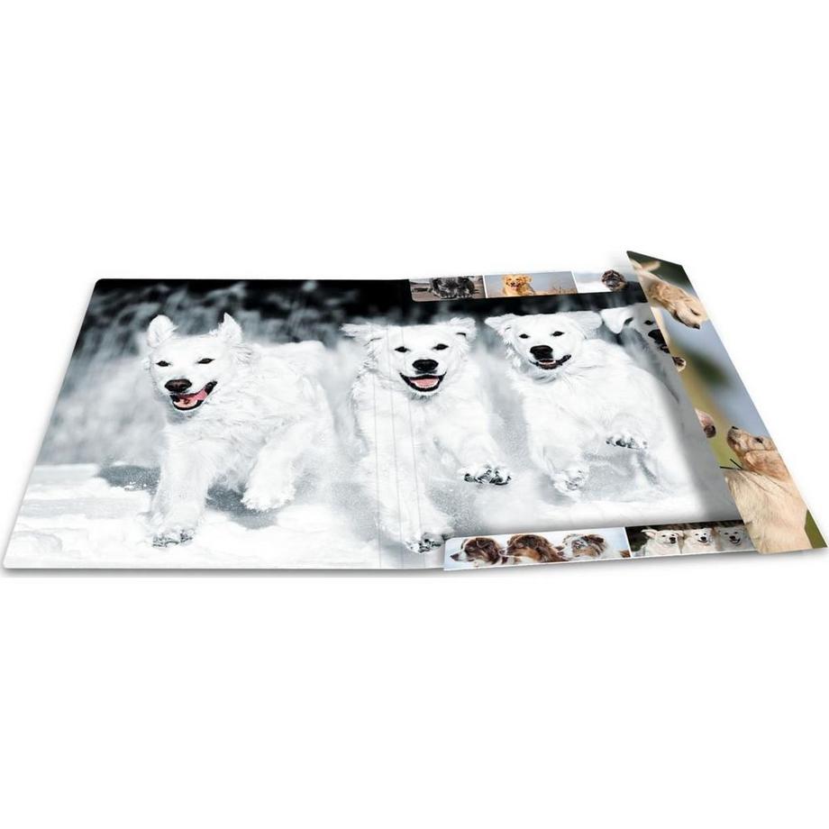HERMA Gummibandmappe Hunde, Karton, mit Innendruck  