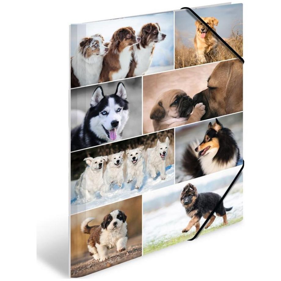 pochette en caoutchouc pour chiens, carton, avec impression intérieure