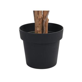 Vente-unique Kunstpflanze Ficus mit Topf - 180 cm - VALOPA  