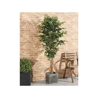 Vente-unique Kunstpflanze Ficus mit Topf - 180 cm - VALOPA  